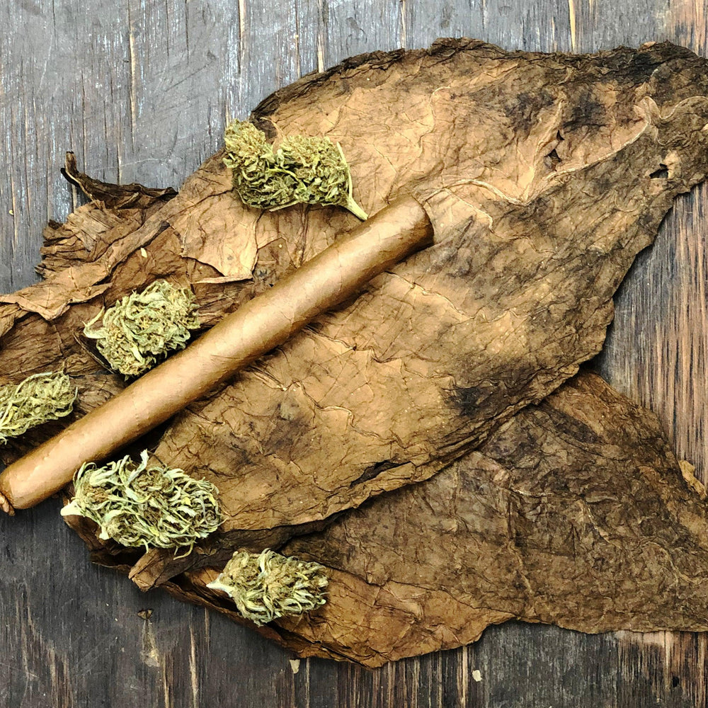 Luxury Smoking: Exploring the World of Cannabis Cigars - Cannub Cigars
