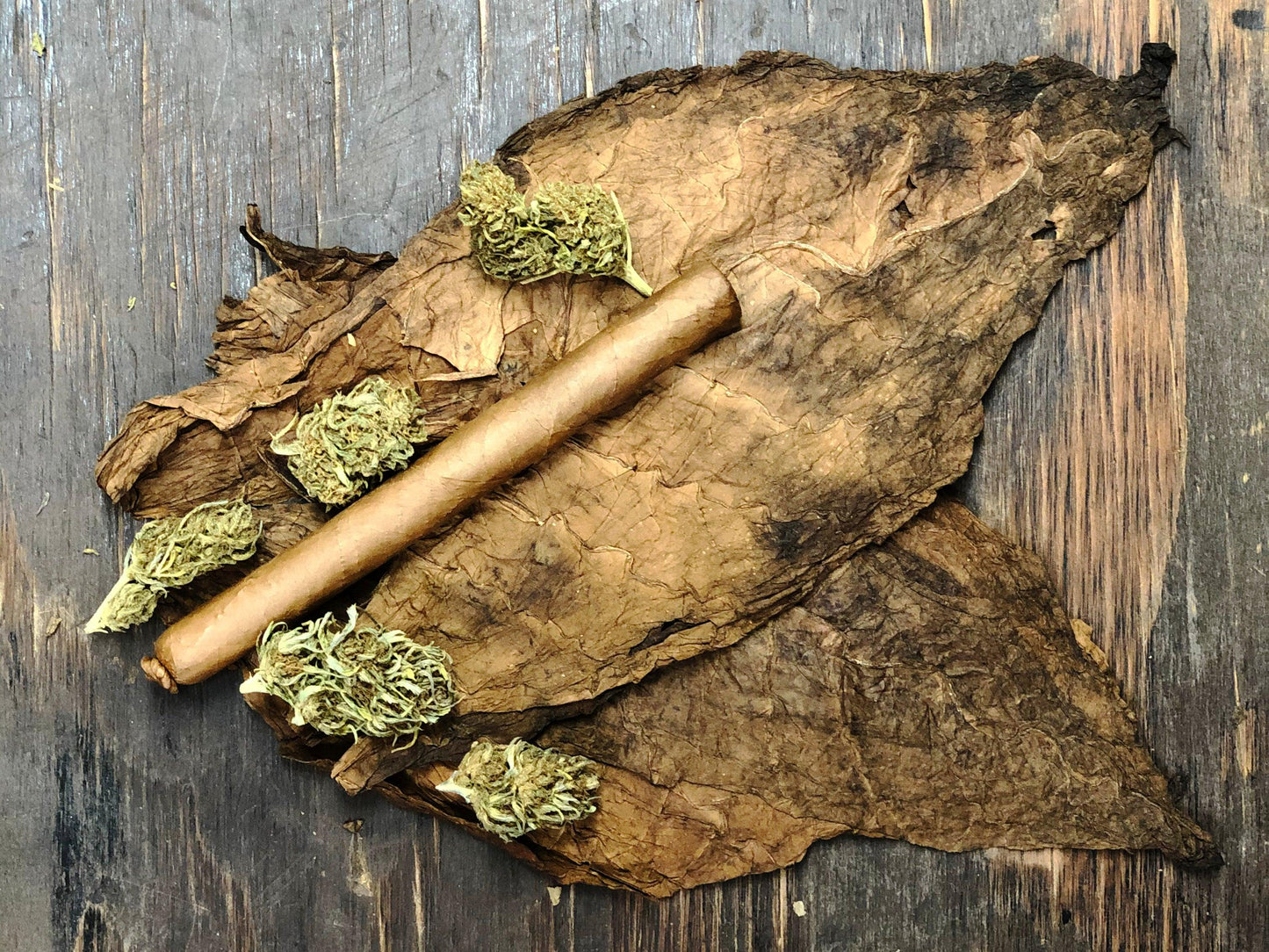 Luxury Smoking: Exploring the World of Cannabis Cigars - Cannub Cigars