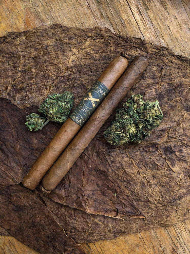 CABIDO THE ORIGINAL CBD CIGAR - Cannub CigarsCigars